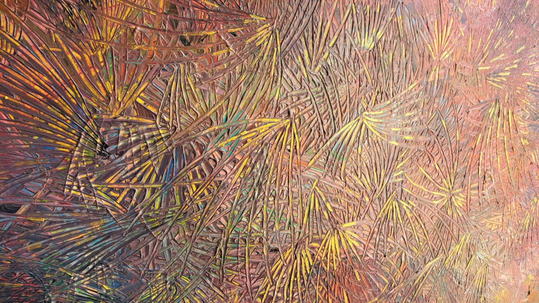 Feux d'artifice : Toile acrylique 2025 - 100x60cm Eric Vanhoutte